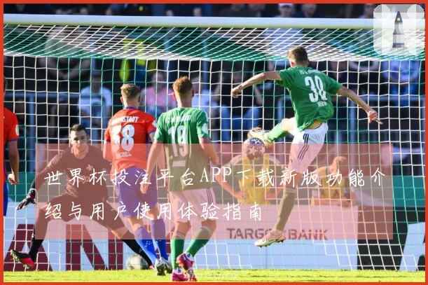 世界杯投注平台APP下载新版功能介绍与用户使用体验指南