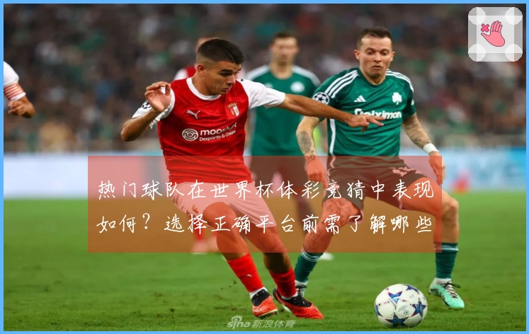 热门球队在世界杯体彩竞猜中表现如何?选择正确平台前需了解哪些关键因素