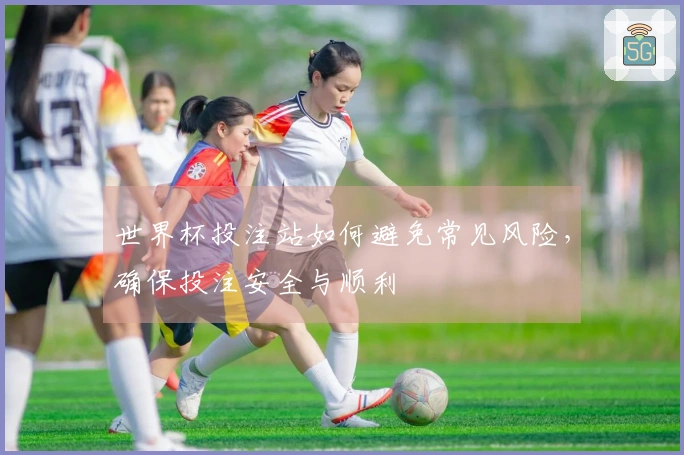 世界杯投注站如何避免常见风险，确保投注安全与顺利