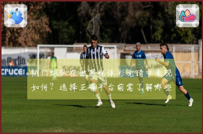热门球队在世界杯体彩竞猜中表现如何？选择正确平台前需了解哪些关键因素