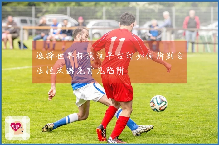 选择世界杯投注平台时如何辨别合法性及避免常见陷阱