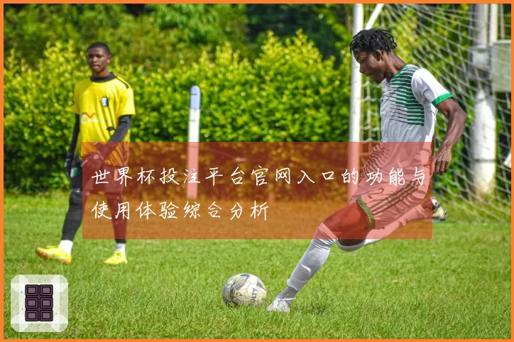 世界杯投注平台官网入口的功能与使用体验综合分析