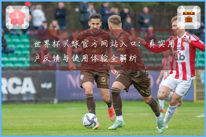 世界杯买球官方网站入口：真实用户反馈与使用体验全解析