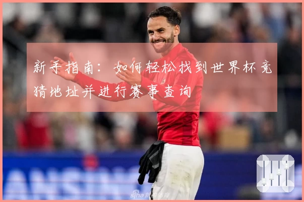 新手指南：如何轻松找到世界杯竞猜地址并进行赛事查询