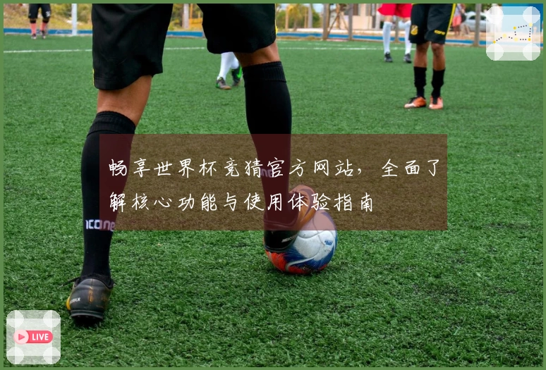 畅享世界杯竞猜官方网站，全面了解核心功能与使用体验指南