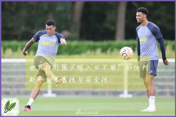 世界杯外围买球入口不明？如何判断平台可靠性与安全性