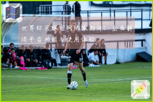 世界杯买球官网玩家测评:全面解读平台功能与使用体验