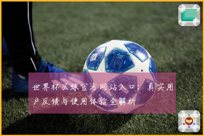世界杯买球官方网站入口：真实用户反馈与使用体验全解析