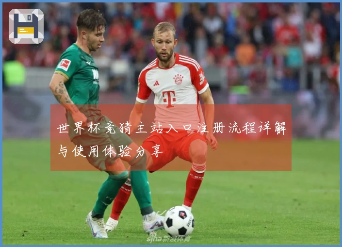 世界杯竞猜主站入口注册流程详解与使用体验分享