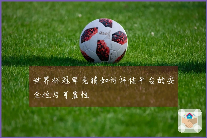 世界杯冠军竞猜如何评估平台的安全性与可靠性