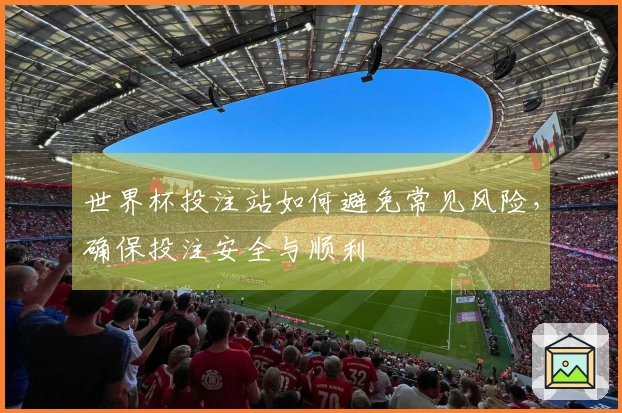 世界杯投注站如何避免常见风险，确保投注安全与顺利