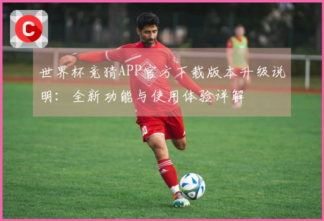 世界杯竞猜APP官方下载版本升级说明：全新功能与使用体验详解