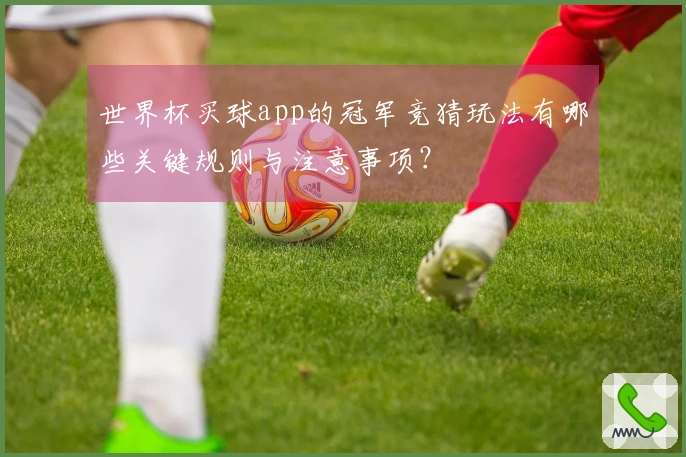 世界杯买球app的冠军竞猜玩法有哪些关键规则与注意事项？